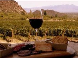 La Rioja Alavesa y sus Bodegas